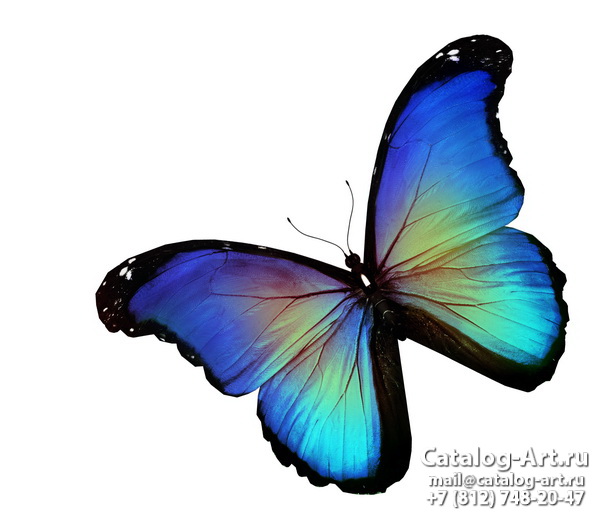  Butterflies 89